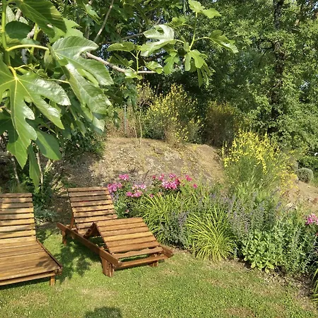 Nyaraló Romantic In Umbrian Hills Near Tuscany *